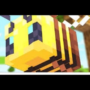 Meet your Posher, Mijung